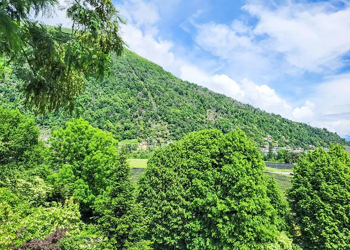 Sulle Viti By Interhome * Losone