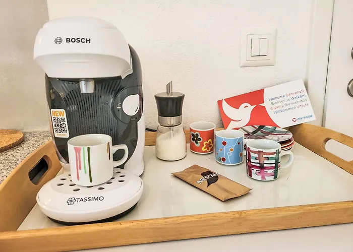 Sulle Viti By Interhome * Losone